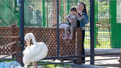BÜYÜKŞEHİR DOĞA PARKI YARIYIL TATİLİNDE BİNLERCE ÇOCUĞU AĞIRLIYOR