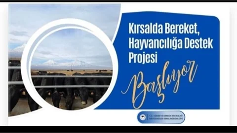 Kırsalda Bereket, Hayvancılığa Destek Projesi