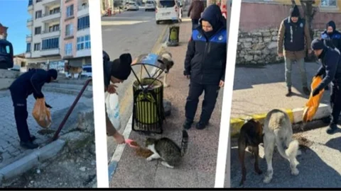 GÜLNAR BELEDİYESİ -5 DERECE SOĞUK HAVADA SOKAKTAKİ CANLILARI UNUTMADI