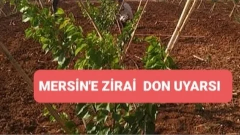 MERSİN'E ZİRAİ DON UYARISI