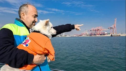 ADINI DENİZDEN, DENETİM YETKİSİNİ BÜYÜKŞEHİR’DEN ALDI: KÖPÜK