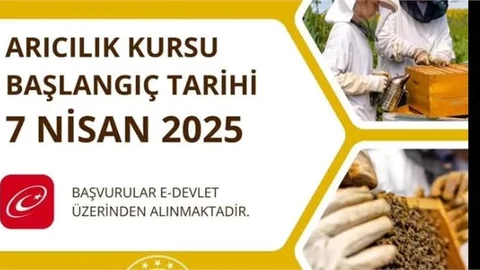 ÇAMLIYAYLA'DA ARICILIK KURSU AÇILIYOR