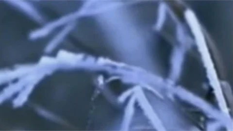 METEOROLOJİ'DEN ZİRAİ DON UYARISI