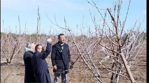 BAŞKAN YILDIRIM "ZİRAİ DONDAN ZARAR GÖREN TÜM ÇİFTÇİLERİMİZE BÜYÜK GEÇMİŞ OLSUN"