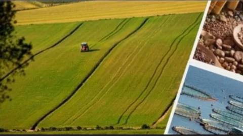 Kırsal Kalkınma Yatırımlarının Desteklenmesi Programı 16. Etap Başvuruları Başladı