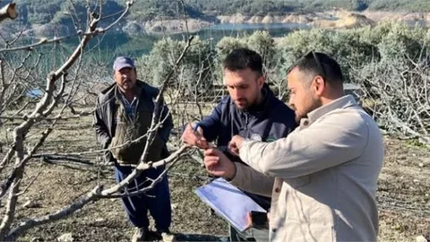 ÇAMLIYAYLA'DA ZİRAİ DON ÖN TESPİT ÇALIŞMASI