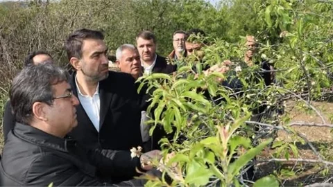 BAŞKAN ALDEMİR, "ÇIFTÇİLERİMİZİN HER DAİM YANINDAYIZ "