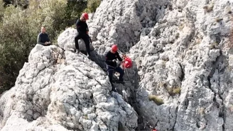 4 GÜNDÜR KAYALIKLARDA MAHSUR KALAN KEÇİLER MERSİN BÜYÜKŞEHİR İTFAİYESİ EKİPLERİ TARAFINDAN KURTARILDI