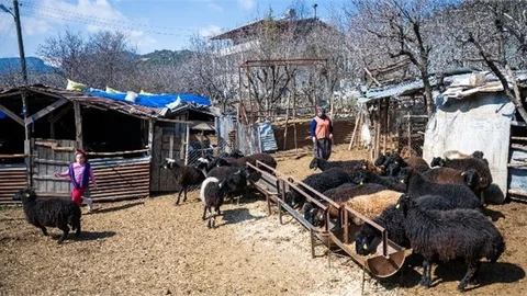 BÜYÜKŞEHİR BELEDİYESİ’NDEN KIRSAL KALKINMAYA BÜYÜK DESTEK