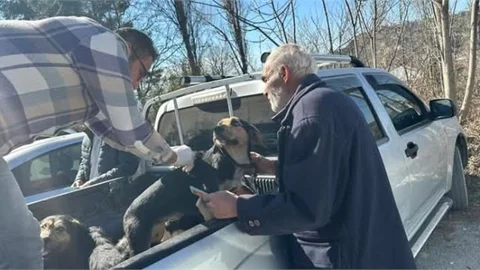 ÇAMLIYAYLA'DA EVCİL HAYVANLAR KAYIT ALTINA ALINIYOR