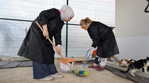 BÜYÜKŞEHİR VE GÖNÜLLÜLER PATİLİ DOSTLAR İÇİN İŞ BİRLİĞİ YAPIYOR