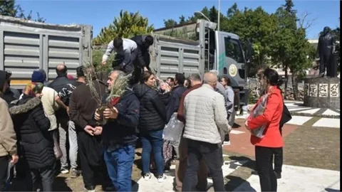 Dünya Ormancılık Günü ve Orman Haftası’nda 1.000 Fidan Dağıtıldı