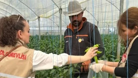 TARSUS'TA TARLADAN SOFRAYA GIDA GÜVENLİĞİ DENETİMİ