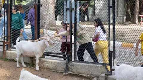 TARSUS DOĞA PARKI, BAYRAMDA ZİYARETÇİ AKININA UĞRADI