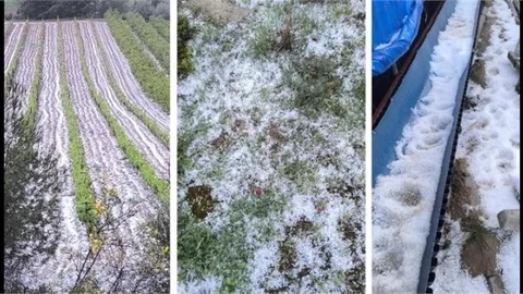 BAŞKAN AVCI: “TÜM ÇİFTÇİLERİMİZE GEÇMİŞ OLSUN”