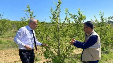 DOLU'DAN ZARAR GÖREN KÖYLERDE TESPİT ÇALIŞMASI