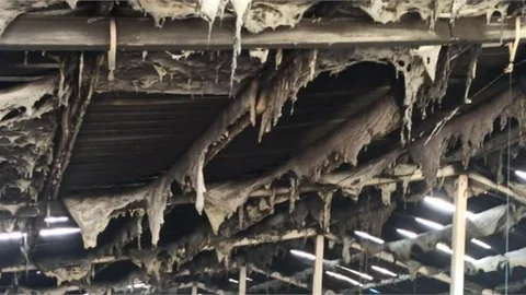 Tarsus'ta boş durumdaki tavuk üretim çiftliğinde yangın