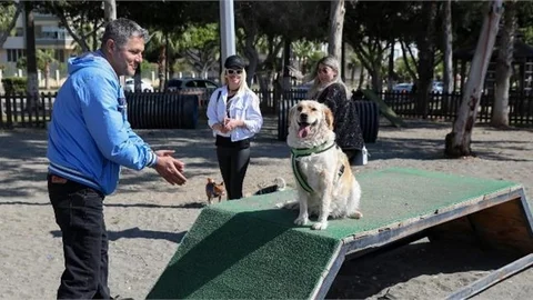 BÜYÜKŞEHİR’DEN PATİLİ DOSTLAR İÇİN ÖRNEK PROJE