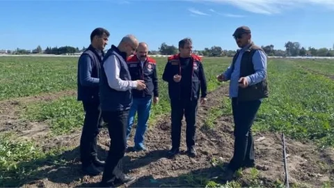 MÜDÜR KARADAĞ, TARSUS'TA SOĞUKTAN ZARAR GÖREN TARIM ALANLARINDA İNCEMELERDE BULUNDU