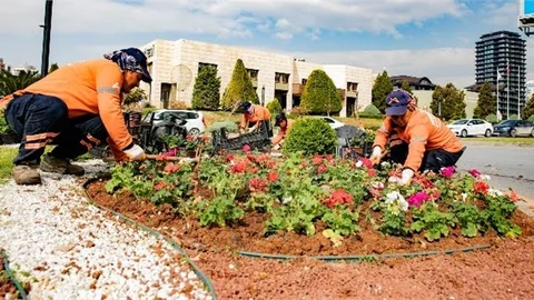 MERSİN RENGARENK ÇİÇEKLERLE BAHARI KARŞILIYOR