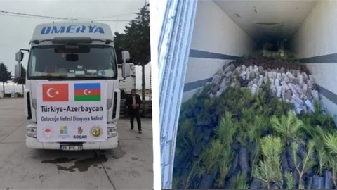 Mersin'den Can Azerbaycan'a 14 Bin 500 Adet Orman Fidanı