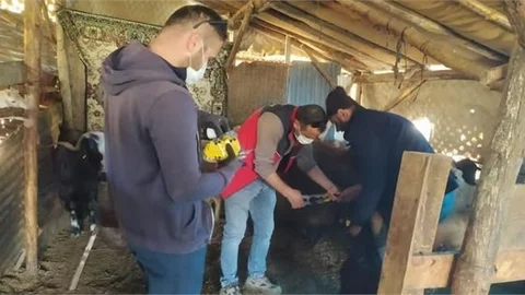 ÇAMLIYAYLA'DA ŞAP HASTALIĞIYLA MÜCADELE