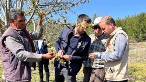 ÇAMLIYAYLA'DA HASAR TESPİT ÇALIŞMASI TAMAMLANDI