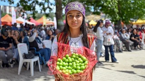 4. GÖKSU GRAVGA ERİK ŞENLİĞİ YAPILDI