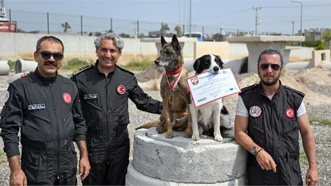 MERSİN İTFAİYESİ’NİN KAHRAMAN PATİLERİ ARES VE REX, ULUSLARARASI SINAVDA ZİRVEDE