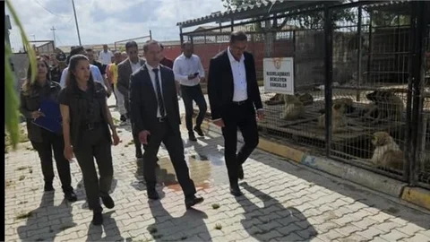 TARSUS BELEDİYESİ HAYVAN BAKIM EVİ DENETLENDİ