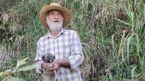 MAHSUR KALAN KÜÇÜK KÖPEĞİ İTFAİYE EKİPLERİ KURTARDI