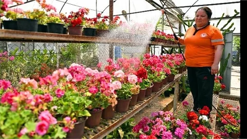 BURASI MERSİN’İN ESTETİK FABRİKASI!