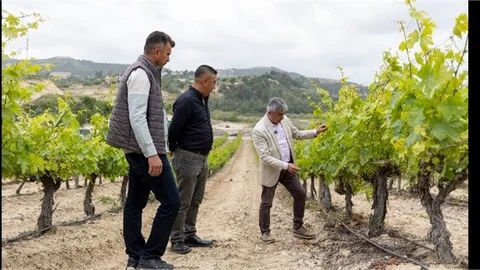 BÜYÜKŞEHİR, TARSUS SAY KÖY'DE ÜRETİCİLERE DAMLAMA SULAMA EĞİTİMİ VERDİ