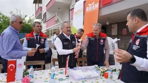 Mersin’de Kahverengi Kokarca’ya Karşı Mücadele Başlatıldı