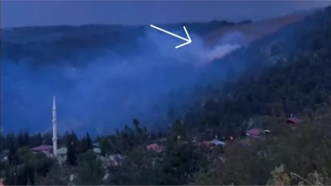 TARSUS ÇAMALAN'DA ORMAN YANGINI