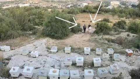 ARI KOVALARINI TAŞLAYARAK ZARAR VERDİLER