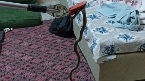 Eve giren yılan itfaiye ekiplerince yakalandı