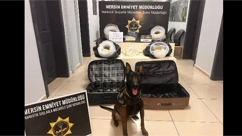 MERSİN’DE ZEHİR TACİRLERİNE OPERASYON; 324 BİN ADET ZEHİR ELE GEÇİRİLDİ, 4 GÖZALTI