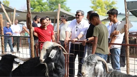 BAŞKAN YILDIZ KURBAN SATIŞ ALANINI ZİYARET ETTİ
