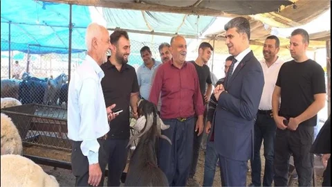 Akdeniz'de Kurban Satış Yerleri Hazır