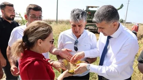 AKDENİZ BELEDİYESİ'NDEN YERLİ TOHUM, YERLİ EKMEK