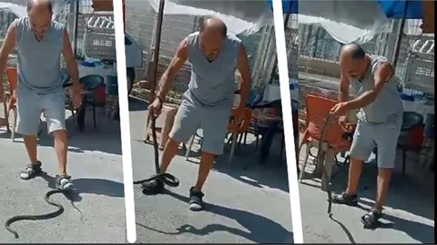 TARSUS'TA ÇİFTLEŞEN KARA YILANLA OYUNU ELİNİ ISIRMASIYLA SON BULDU