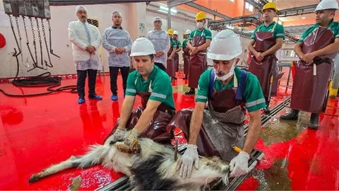 MERSİN BÜYÜKŞEHİR BELEDİYESİ ŞEHİTLERİN ANISINA KURBAN KESTİRDİ