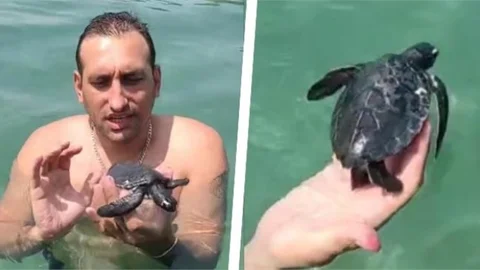 Tesadüfî Karşılaşma Hayat Kurtardı: Minik Caretta, Tatilcinin Duyarlılığıyla Kurtarıldı