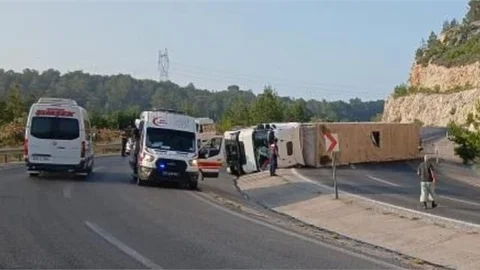 Angus Yüklü TIR Devrildi, Hayvanlar Ormana Kaçtı