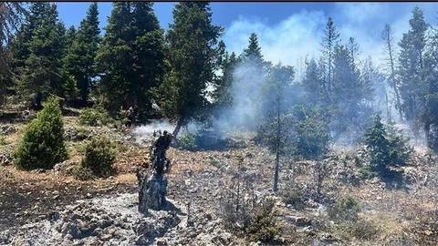 ERDEMLİ'DE ORMAN YANGINI