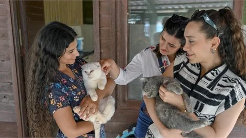 MERSİN BAROSU HAYVAN HAKLARI KOMİSYONU, PATİKÖY’Ü ZİYARET ETTİ