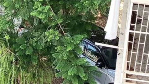 MERSİN'DE ARAÇ DÜKKANA GİRDİ