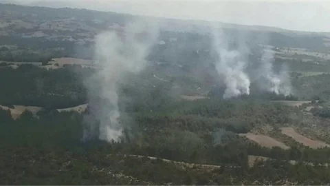 Farklı Noktalarda Çıkan Orman Yangınları Kontrol Altına Alındı