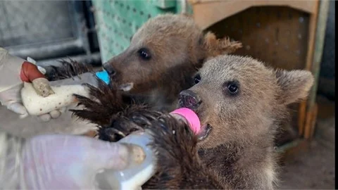 TARSUS DOĞA PARKI YENİ ÜYELERİNE ‘MERHABA’ DİYOR